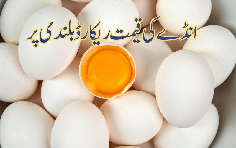 !انڈوں کی قیمتیں اب تک کا ریکارڈ بلند ی پر پہنچیں۔ یہ ہیں وجوہات